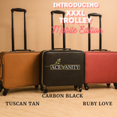 XXXL Trolley Mobile Edition for Makeup Artists | Ace Vanity
