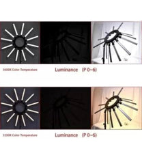 {{ product_title }} – professional {{ product_type }} by Ace Vanity for makeup artists