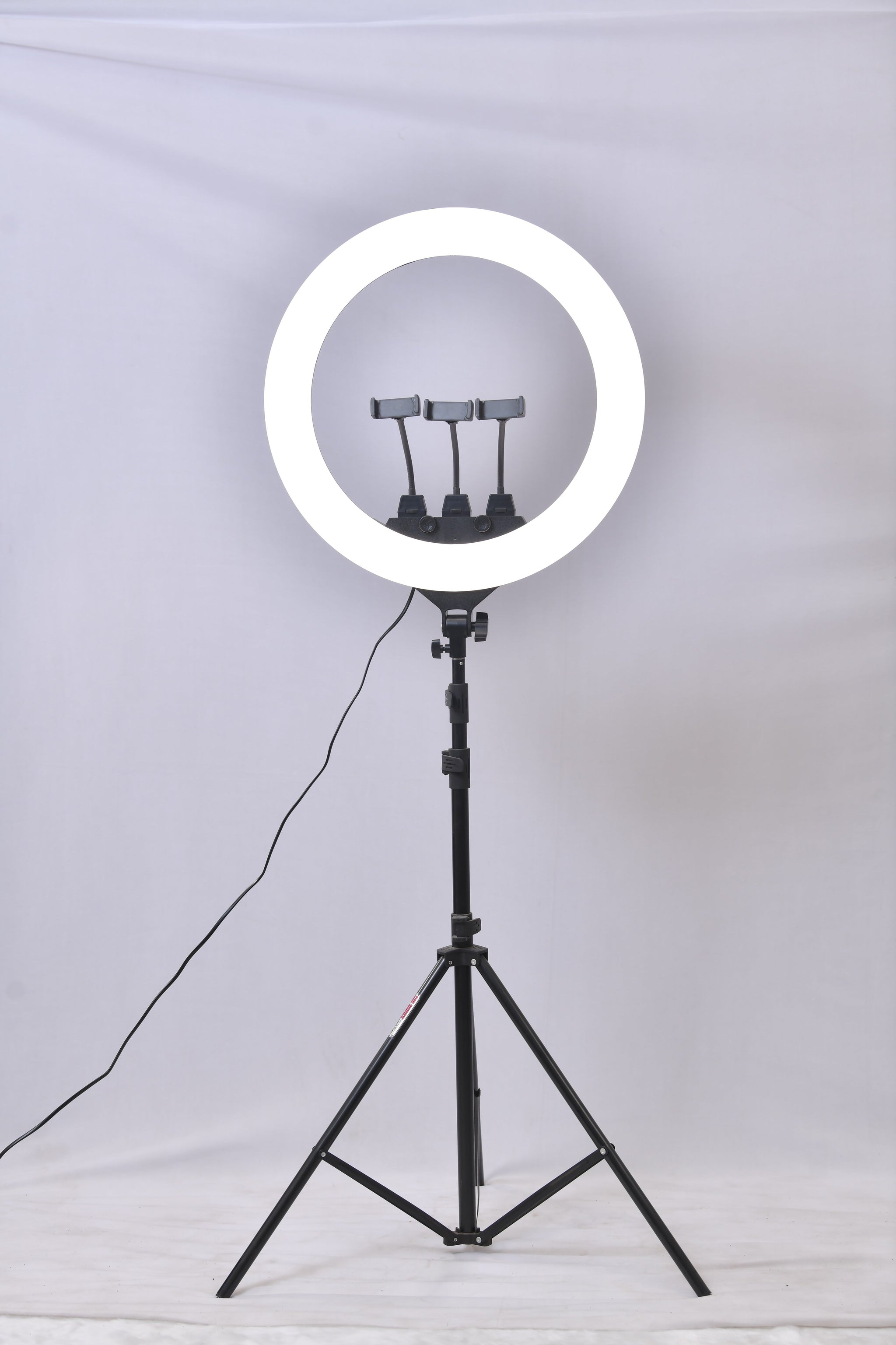 PROFFESSIONAL RINGLIGHTS - Ace Vanity