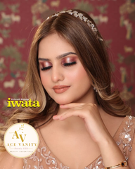 Iwata NEO Air IS-30 Portable Airbrush Compressor Machine
