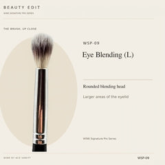 WSP-09 Eye Blending (L) — brush detail