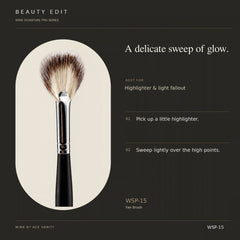 WSP-15 Fan Brush — application guide
